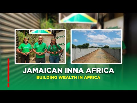 🇯🇲𝐁𝐢𝐠 𝐥𝐨𝐯𝐞 𝐭𝐨 𝐨𝐮𝐫 𝐊𝐞𝐧𝐲𝐚𝐧 𝐟𝐚𝐦𝐢𝐥𝐲 𝐢𝐧 𝐉𝐚𝐦𝐚𝐢𝐜𝐚 𝐚𝐧𝐝 𝐚𝐜𝐫𝐨𝐬𝐬 𝐭𝐡𝐞 𝐰𝐨𝐫𝐥𝐝! 🇰🇪🌍