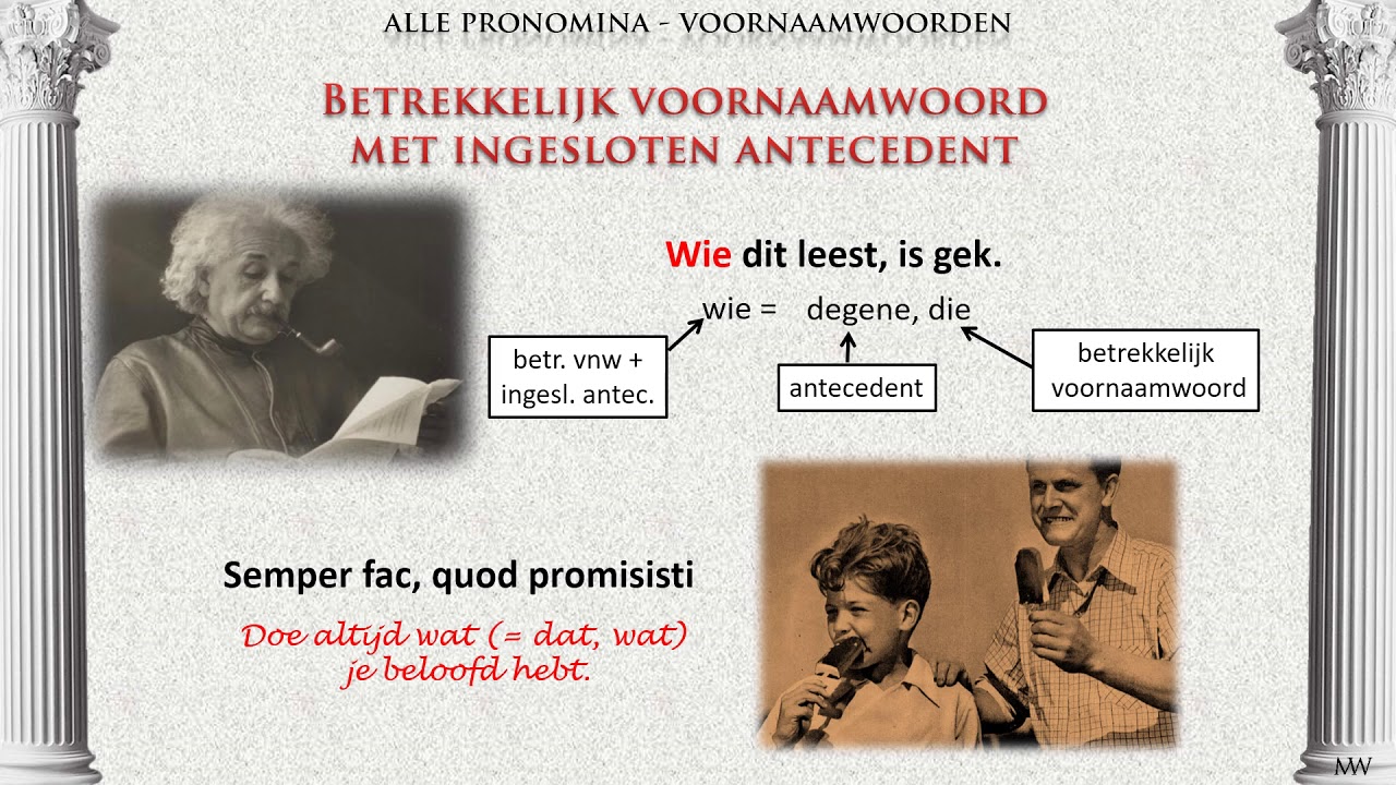 Alle voornaamwoorden - Latijn van Magister Weel deel 48