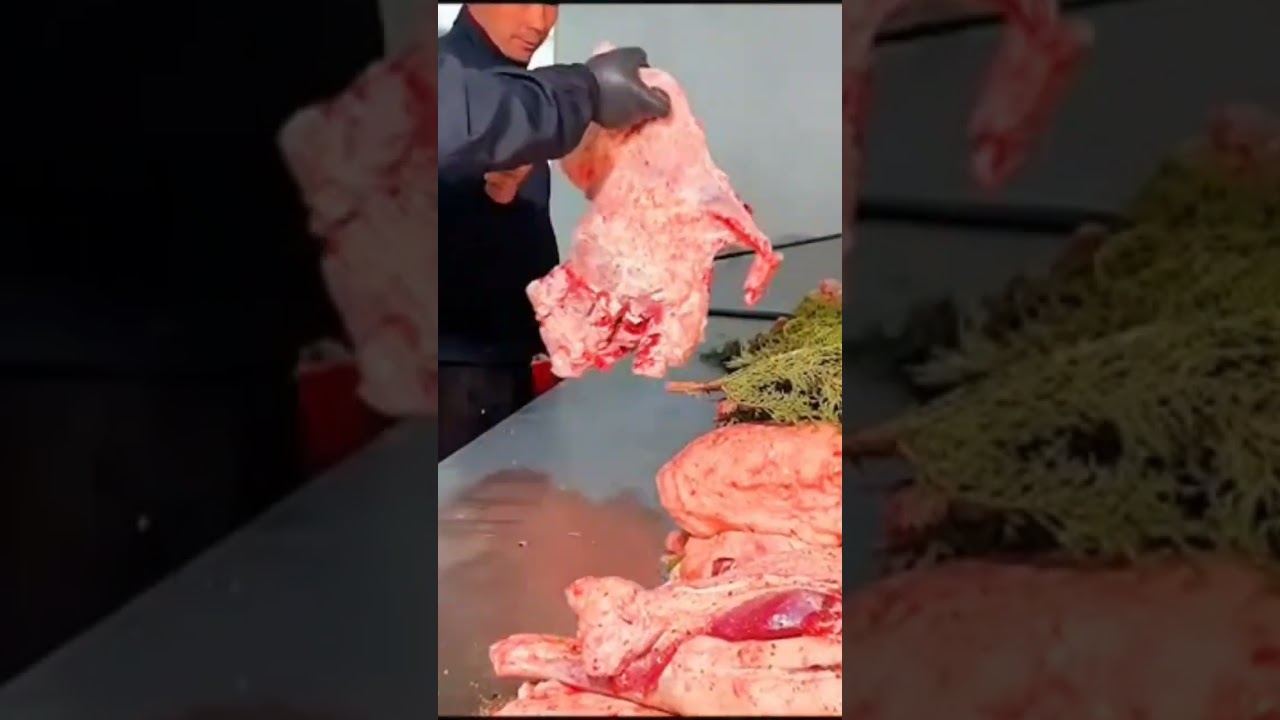 Clay Oven Roasted Lamb and Roasted Chicken, a DifferentKind of Deliciousness