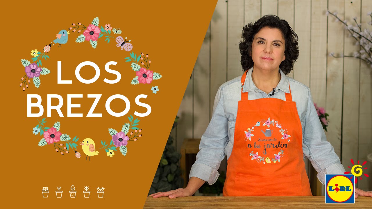Los Brezos 🌺🌱 | El Jardín De Lidl | Lidl España