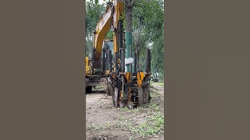 Tree Transfer Process - Goodtools and machinery make work easy