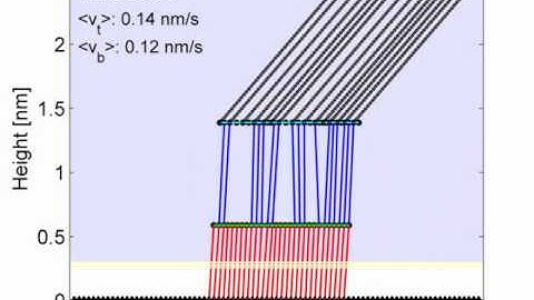 Focal Adhesion Complex Simulation