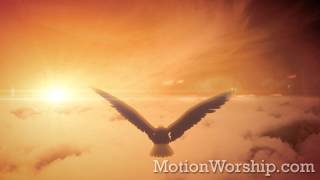 Bald Eagle Soaring Over Clouds Seamless Loop - by Motion Worship