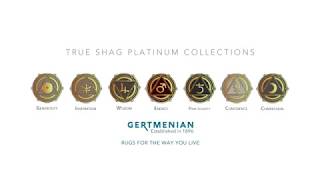 Gertmenian True Shags Platinum Label Gray Shag Area Rug 2 inch