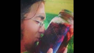 (I swear I don't) Get Drunk All the Time!!! - Ryan Greer (Unmastered Cut)