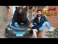 الدب المتوحش كسر عربيه اسلام قاسم تحت البيت حصل كارثه 