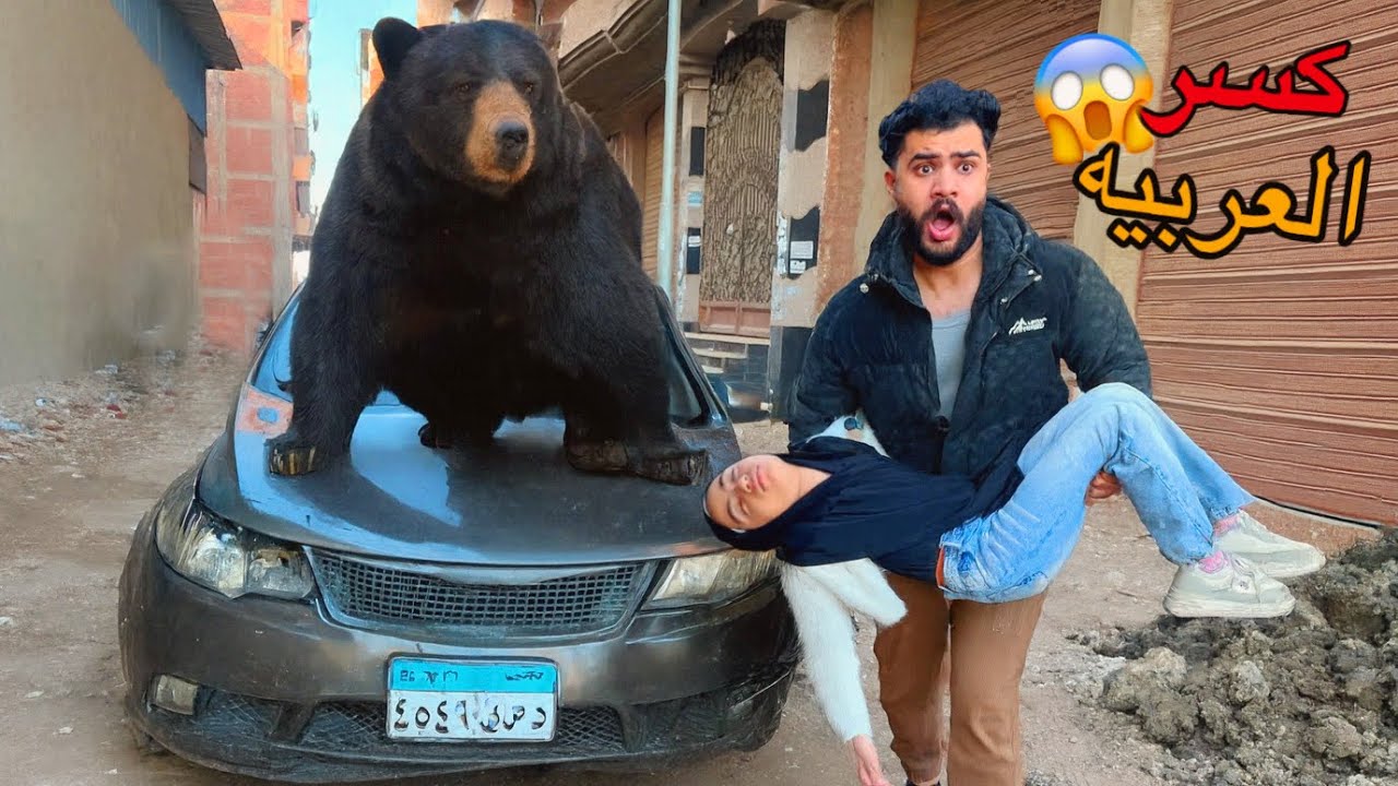 الدب المتوحش كسر عربيه اسلام قاسم تحت البيت 😱 حصل كارثه💔