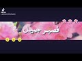 حالات واتساب قرأن كريم فصبر جميل