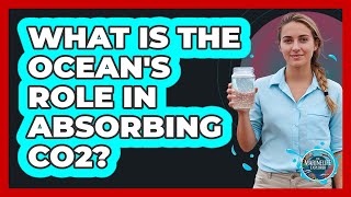 What Is The Ocean's Role In Absorbing CO2?