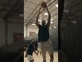 CJ Koloko POWER Dunks