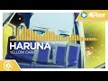 Haruna - Yellow Carpet