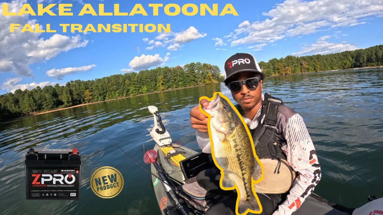 Lake Allatoona bass fishing (fall transitioning) Bass Manager The