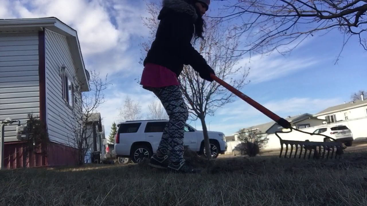 Raking leaves after winter YouTube