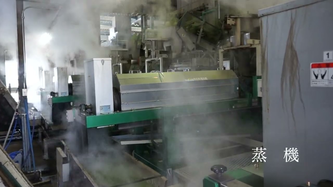 お茶ができるまで（煎茶）