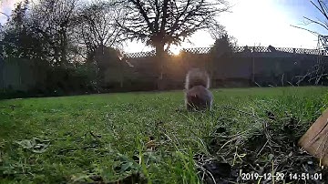 Neos SmartCam on Stock firmware 1