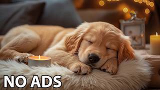 12 Hours Dogs Music 💖 Dogs Calming Music & Gentle Audio For Relaxed Dog Mood And Peaceful Comfort