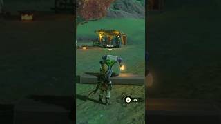 YAHAHA Day 170 of Helping Koroks - Zelda TOTK
