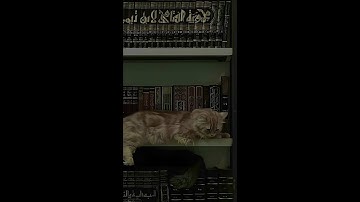 قُرْآنًا عَرَبِيًّا غَيْرَ ذِي عِوَجٍ لَّعَلَّهُمْ يَتَّقُونَ | سورة الزمر | بدر اليوسف