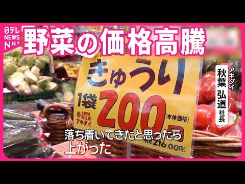 【値上げの波】ニンジン2倍・キャベツやきゅうりも1.5倍  連休前には落ち着く…？