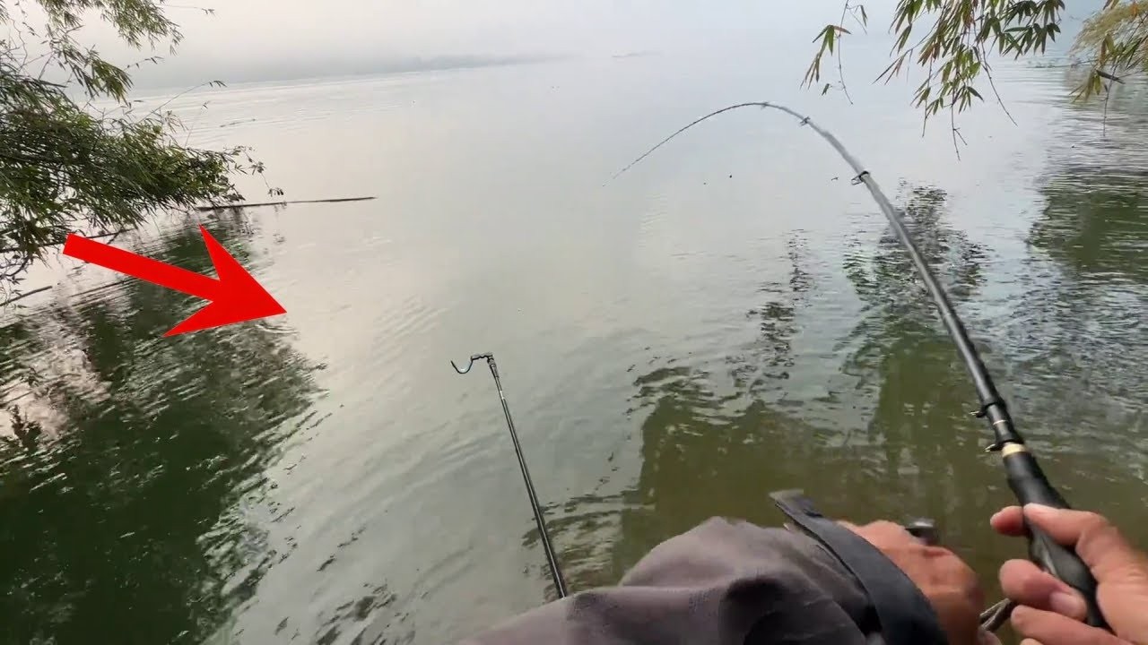 單人挑戰87公斤巨物，這魚是吃鋼筋長大的嗎？整整五個小時手都廢了#fishing #熱門 #carpfishing