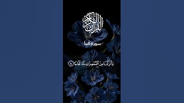 سورة النبأ بصوت القارئ أجزوني تلاوة خاشعة