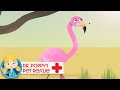 Uma the Flamingo🦩| Doctor Poppy - Animals For Kids | Cartoon Animals