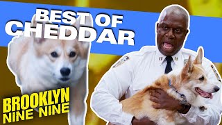 This is Cheddar, Not Just Some Common B***h | Brooklyn Nine-Nine