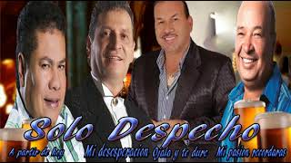 Video thumbnail of "Solo despecho Jimmy Gutierrez Dario Gomez Charrito negro Luis A posada"