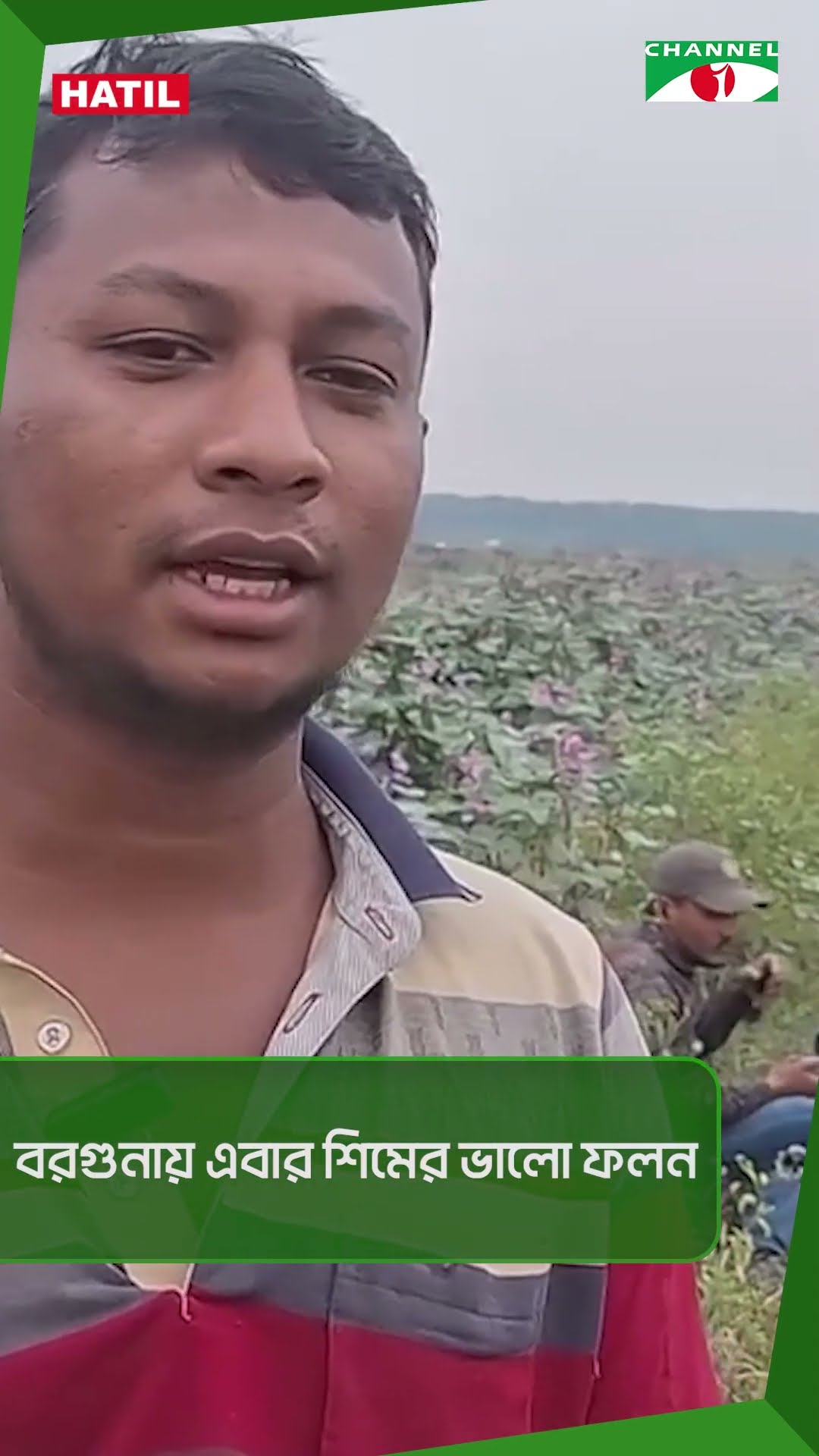 বরগুনায় এবার শিমের ভালো ফলন