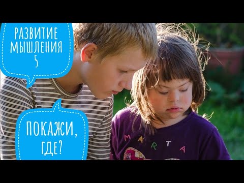 Развитие мышления у детей с синдромом Дауна. Карточки (часть 5) Покажи, где?