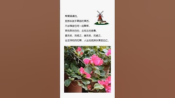 Thumbnail of 「歡喜就好」~陳雷好聽的歌曲#人生感悟#自媒體#短影音行銷#網路行銷#全網贏銷#佳興成長營#智慧立體#Line名片#超極名片#靈芝咖啡#Chatgpt#AI機器人#AI人工智慧
