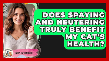 Does Spaying And Neutering Truly Benefit My Cat