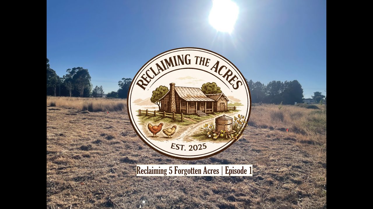 Reclaiming 5 Forgotten Acres | Episode 1