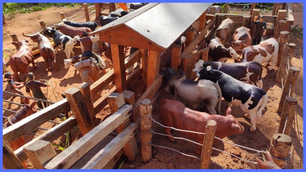 VACINADO TODOS OS GADO DA FAZENDINHA #chapeudogato