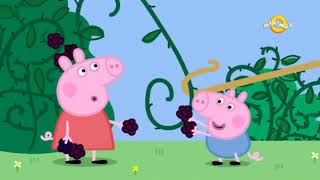 Prasátko Peppa Česky - Ostružinový Keř