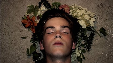 2016 AAHSFF Official Selection - "Reflections" by Sarah Kern