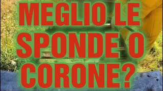 Apicoltura CD: Meglio le sponde o le corone? Questo è il dilemma!