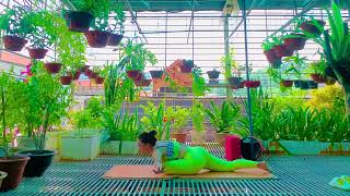 줌마 레깅스와 요가 Workout & Gymnastics With Mary - Part 6