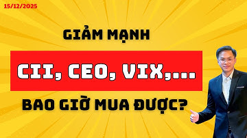 CHỨNG KHOÁN HÔM NAY | Cổ Phiếu CII, SSI, VIX Giảm Mạnh. Mua Được Mã Nào? | NHẬN ĐỊNH THỊ TRƯỜNG