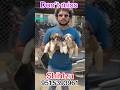 😍shihtzu puppys🐶available💥don't miss💥guys hurry up❤️#shortvideo #shoart #yt #ytshorts #shihtzu #dog