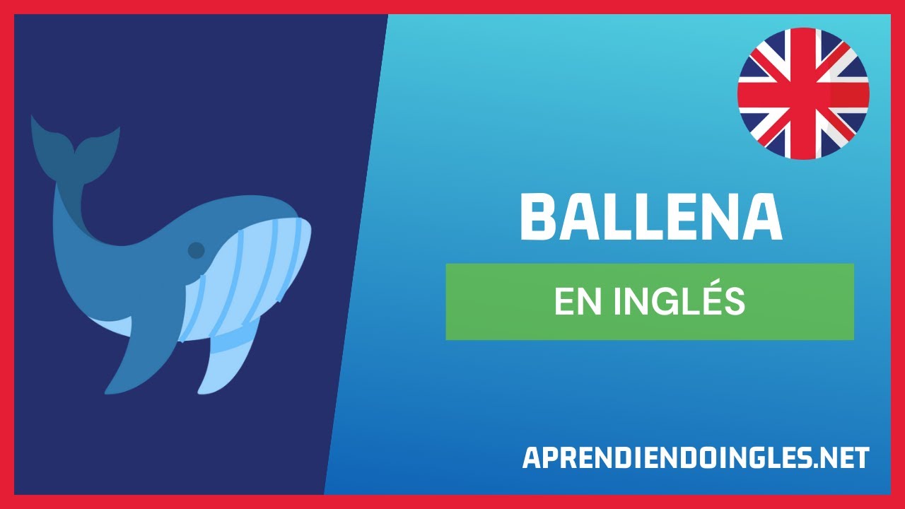 CÓMO se dice BALLENA en INGLÉS 2022 🚀 APRENDE A ESCRIBIR WHALE