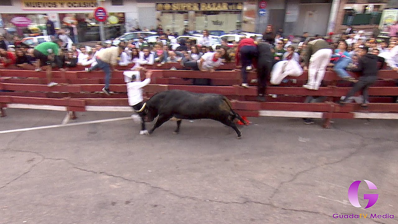 4º  ENCIERRO DE RESES BRAVAS GUADALAJARA DOMINGO 2022