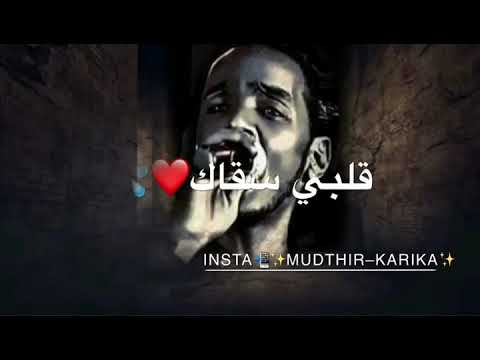 محمود عبد العزيز تعب الريده حالة واتساب