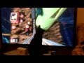Hovis The Kitten On The Despicable Me Roller Coaster 