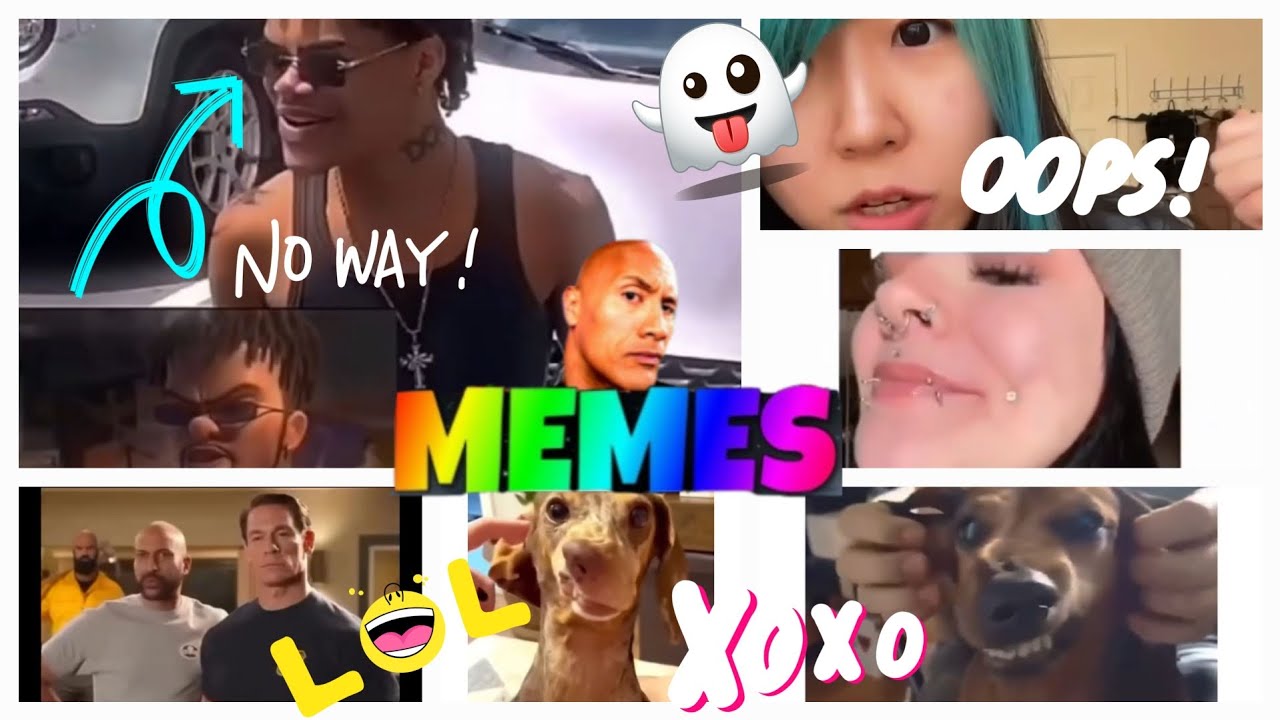 Trending Dogs Memes Compilation | #21 | 