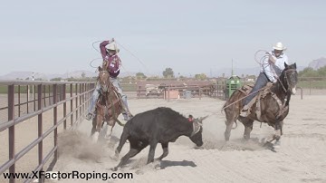 Timing on the goat and cattle with Cesar De La Cruz