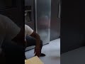 Hasbulla Hooks Jon Jones