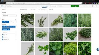 Predicting Herbs with the Microsoft Custom Vision Service screenshot 4