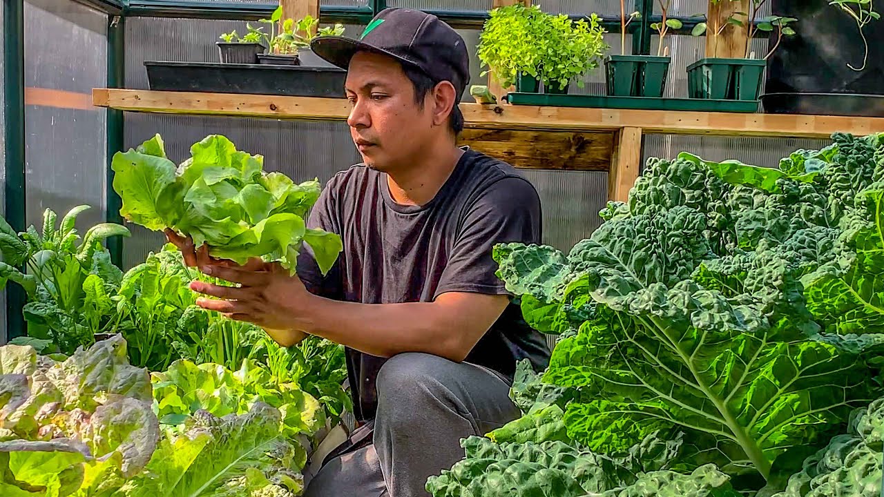 With food prices going up, it's time to think about growing your own food