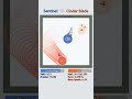 Cinder Blade VS Sentinel